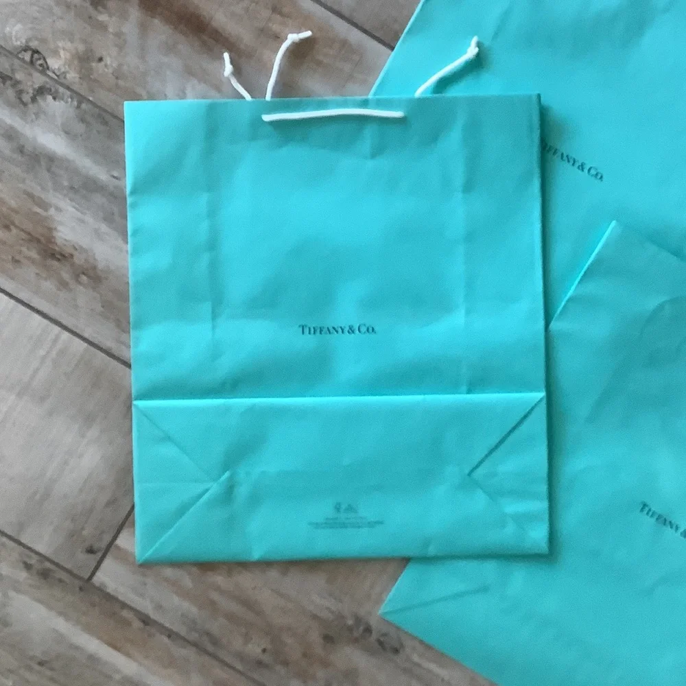Tiffany & Co. Extra Large 20”x18”x7” Bags - Set of 6!